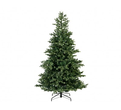 Geneva Fir 180cm